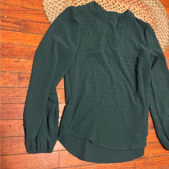 Elegant Green Swiss dot holiday Women's Top - Picture 2 of 5